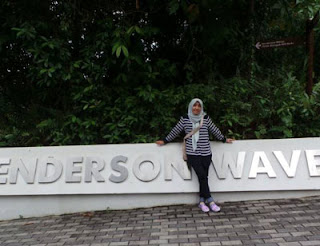 Dani di Henderson Wave Singapura