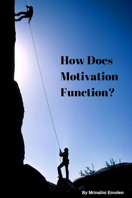 How Does Motivation Function?