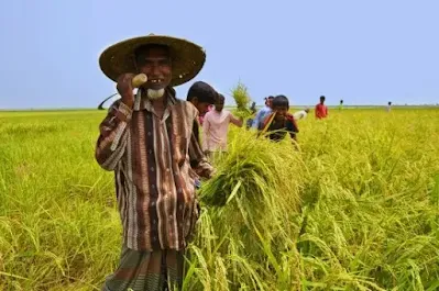 বাংলাদেশের কৃষক