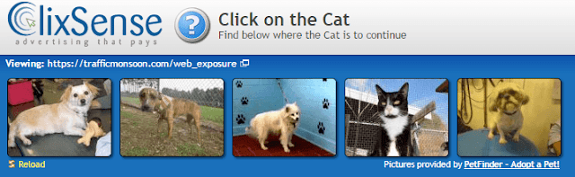 Click the cat image inorder to make your click valid