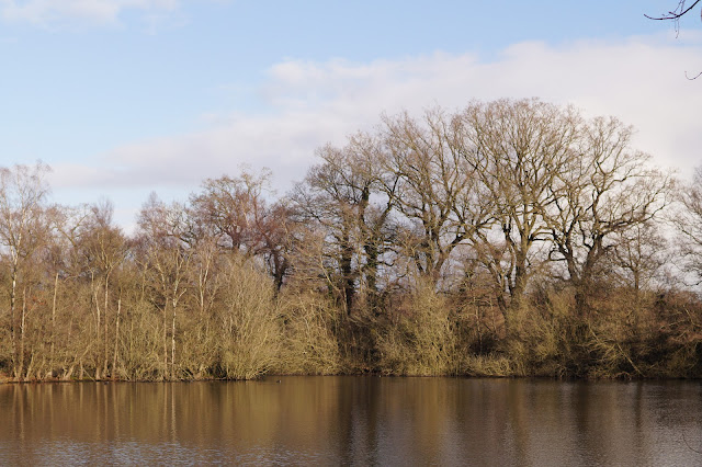 January sights in the Norfolk countryside