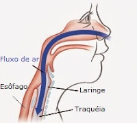 Vivendo com Laringomalacia