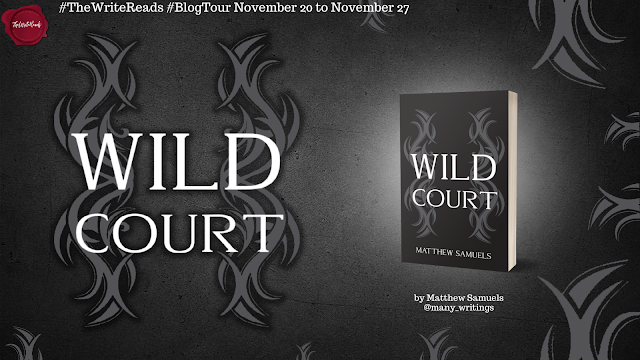 Wild Court by Matthew Samuels tour banner