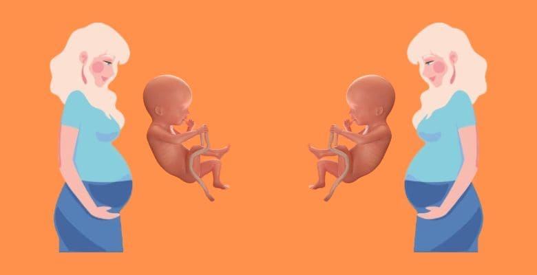 గర్భం 20వ వారం: శిశువు అభివృద్ధి | 20th week of pregnancy: Baby's development