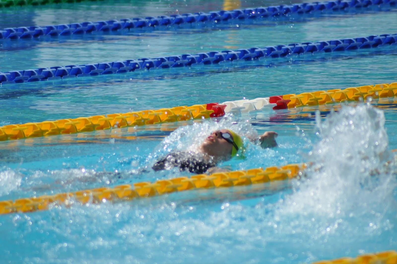 NUOTO CEPAGATTI: SPLENDIDA ESPERIENZA