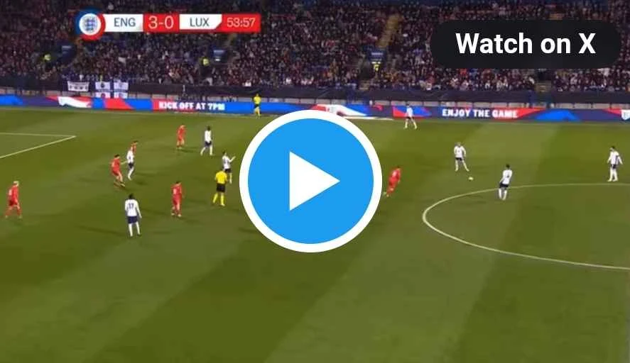 Chelsea star scores two great goal for his country (Video)