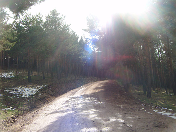 Así fue nuestra Ruta del puerto de Cotos a Colmenar Viejo. Noviembre 2012