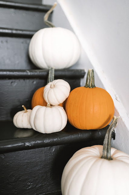 White Pumpkins, Orange Pumpkins for Fall