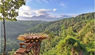 Wisata goa Jepang Desa KedungLumpang, Mojoagung, Jombang