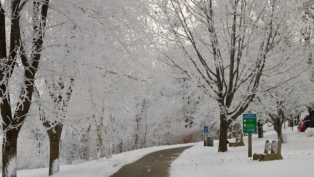 Frozen fog in Fredericton, New Brunswick