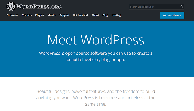 Wordpress, blog maker, building websites