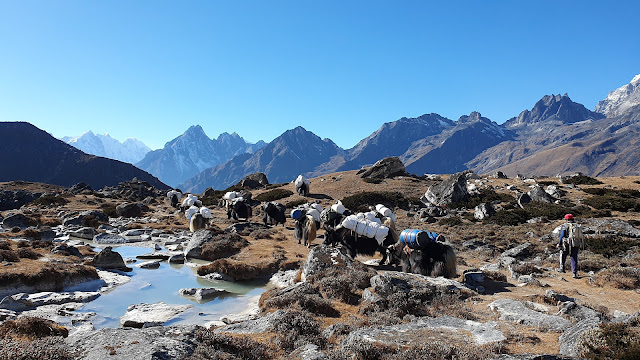 Ama Dablam Base Camp