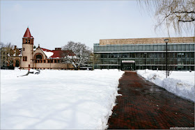 Biblioteca Pública de Cambridge después de la Tormenta Skylar 