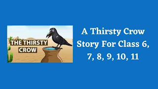 A Thirsty Crow Story For Class 6, 7, 8, 9, 10, 11