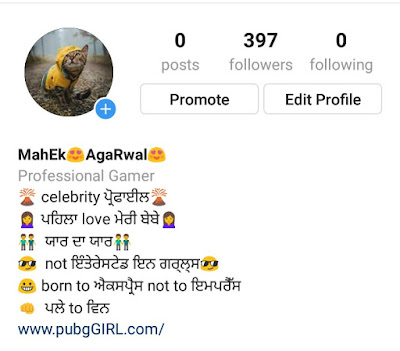 Instagram bio in punjabi