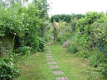 Our English Country Garden