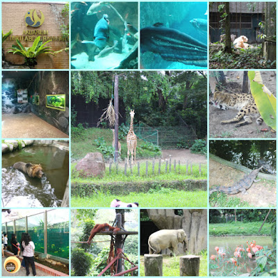 Best things to do and see in Zoo Negara, kuala Lumpur National Zoo, Malaysia. NBAM Blog photography