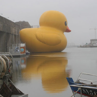 Sarko the Giant's Rubber Ducky