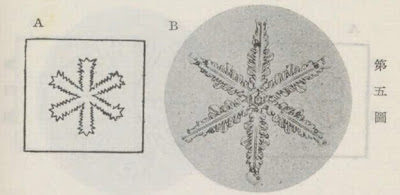 『雪華図説』の研究 模写図と顕微鏡写真と比較　第五図