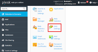 Cara Setting Private Nameserver di Plesk