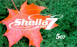 Sheila On 7 507 Album (2006)