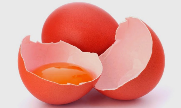 7 Manfaat Putih Telur Bagi Kesehatan dan Kecantikan