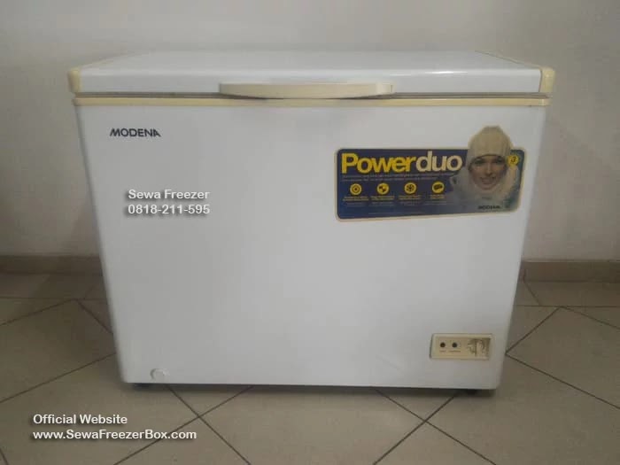 sewa freezer box 200 liter Jambangan Surabaya