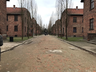 A road leading through Auschwitz.