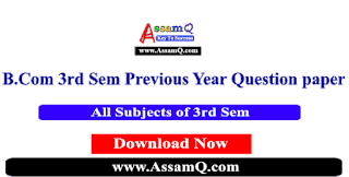 B.Com 3rd Sem 2017 Year Question Papers All Subjects (CA, Cl, DT, Evs, Assamese)