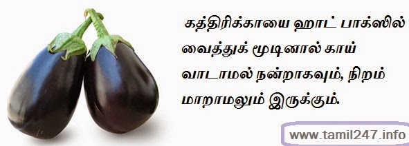 கத்திரிக்காய் வாடாமல் இருக்க..