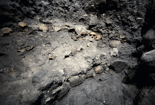 Banyak arkeologi yang terlibat menggali artefak kecil untuk menyusun sebuah citra kehid √ Banyak di Temukannya Fosil MegaStructures Kuno