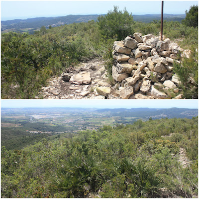 LA BISBAL DEL PENEDÈS - Mas Bartomeu - Puig de la Cova - Cova Gran - Puig la Serreta - Puig Francàs, Cim del Puig Francàs en direcció sud a la Mediterrània Baix Penedès