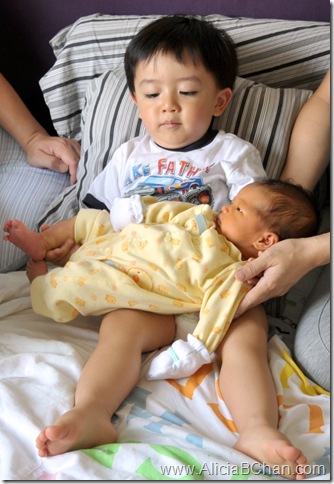 Addison Holding Alicia