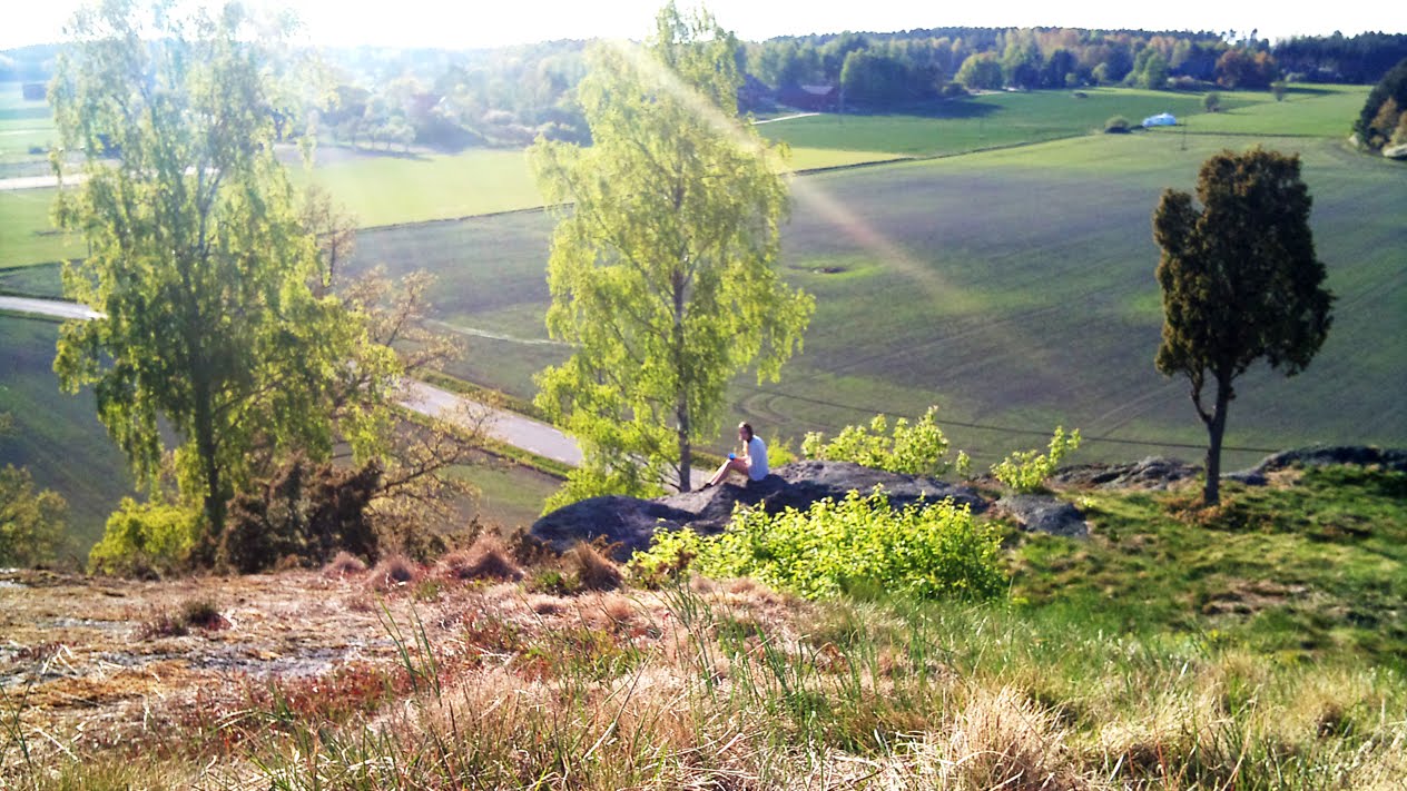 Elin på ett berg