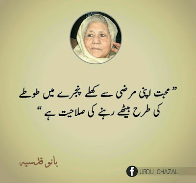 bano qudsia urdu quotes