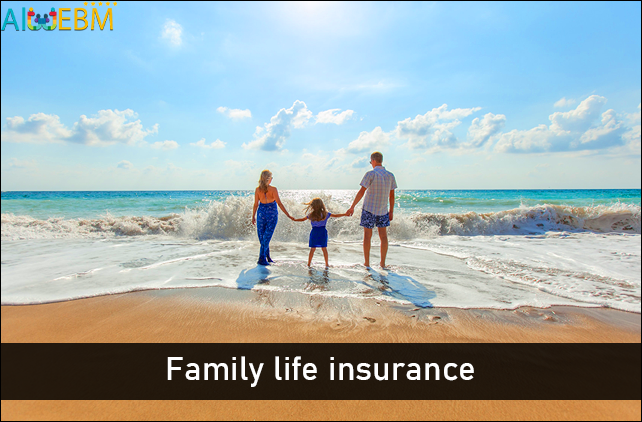 what is family life insurance, what does a family life insurance policy offer