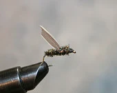 Mengenal Lebih Jauh Lure Flies Pada Rangkaian Fly Fishing