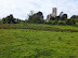 View back to Swanton Morley church