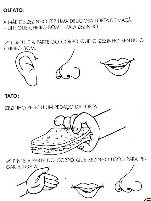 Atividades orgãos do sentido ensino fundamental