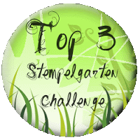 Top 3!