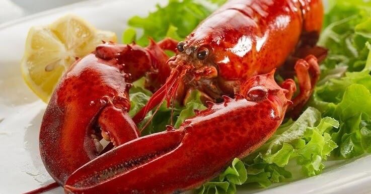 Makanan Udang Kara Air Tawar - ligstera