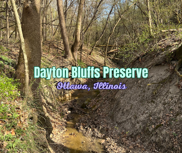 Ravine Hiking and Spectacular Views at Dayton Bluffs Preserve in Ottawa, Illinois