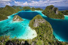 RAJA AMPAT ISLAND EXOSTIS