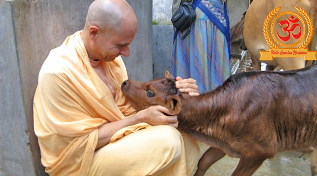 love cow, radhanath swami, radhanath swami quotes, the journey home autobiography of an american swami, radha nath, hh radhanath swami, cow love, i love cows, swami radhanath, the journey within radhanath swami, the journey home radhanath swam,i the journey within exploring the path of bhakti, his holiness radhanath swami, radhanath swami iskcon desire tree, radhanath swami japa, the journey home swami, i love my cow, journey to home by radhanath swami, sri radhanath swami, peace love and cows, radhanath swami autobiography, love for cows, jay shetty radhanath swami, my journey home radhanath swami, cattle love, radhanath swami jay shetty, radhanath swami the journey home autobiography of an american swami, journey home swami, autobiography of an american swami, i just freaking love cows, why hindu love cow,