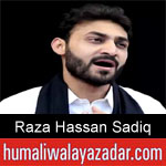 https://nohay.humaliwalayazadar.com/2019/05/raza-hassan-sadiq-noha-ayyam-e-ali.html