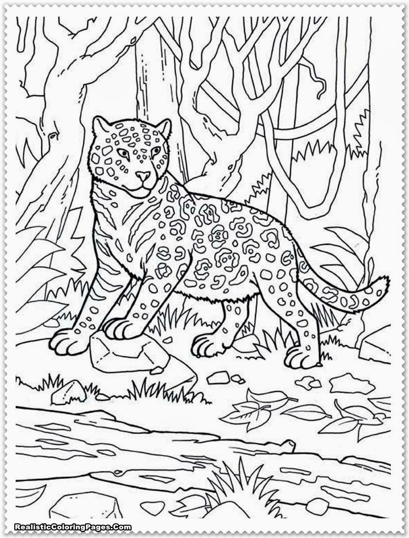 Download Jungle Coloring Pages - Kidsuki