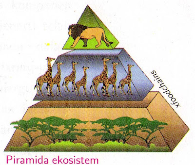 Komponen Ekosistem Biotik merupakan semua jenis makhluk hidup yang 