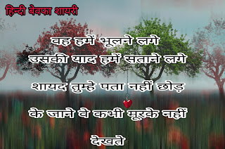 love bewafa hindi shayari image.bewafa shayari photo hindi mai