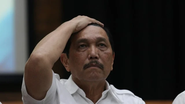 Luhut Kaget Banyak Perusahaan Sawit Berkantor di Luar Negeri, Anthony Budiawan: Kok Baru Tahu?