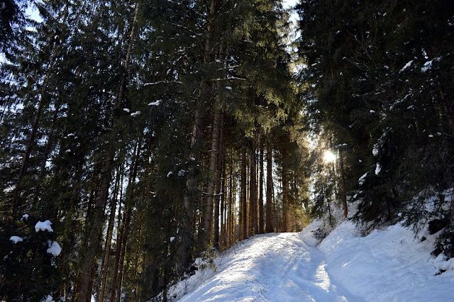 ciaspole val di fiemme